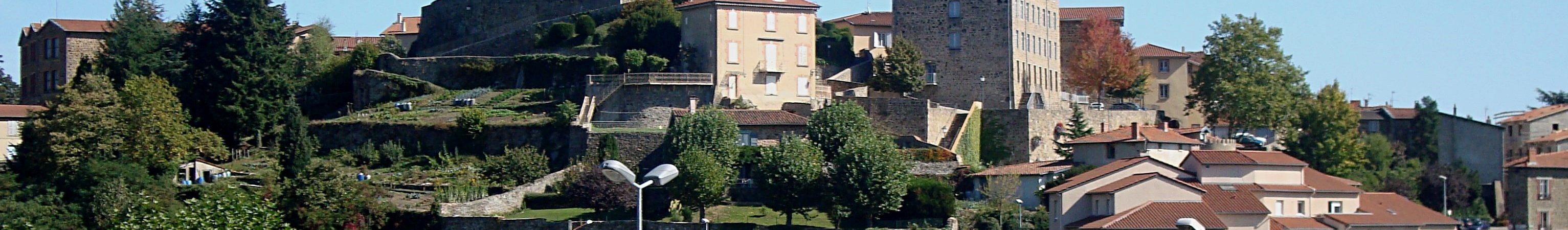 Courtier à Saint-Symphorien-sur-Coise